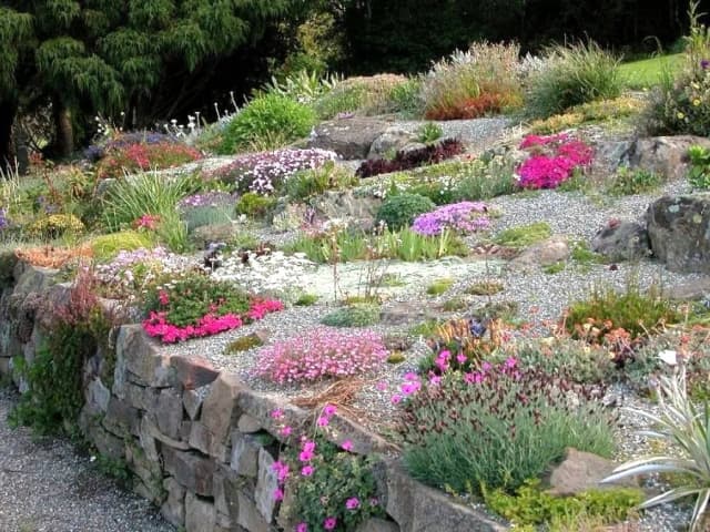 Co posadzić na skarpie przy tarasie, by uniknąć erozji i cieszyć się pięknem?