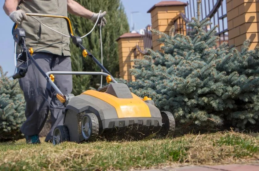 Wertykulacja: Ile Kosztuje za m2? Zadbaj o Zdrowy Trawnik Tanio
